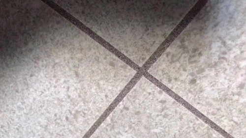 微信圖片_202103260919102.jpg